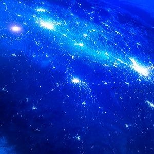 Meet your Posher, Maurice